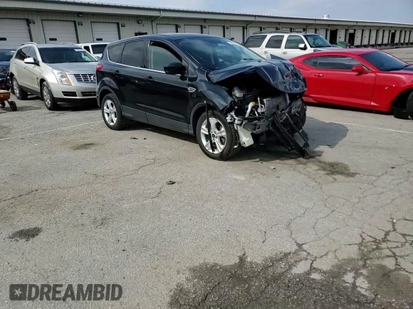 2016 Ford Escape SE with VIN 1FMCU9GX8GUA93812, listed as a Copart auction lot 52970275 with Not Provided miles and Salvage Title. Bid and sale history available at DreamBid. Image 12.