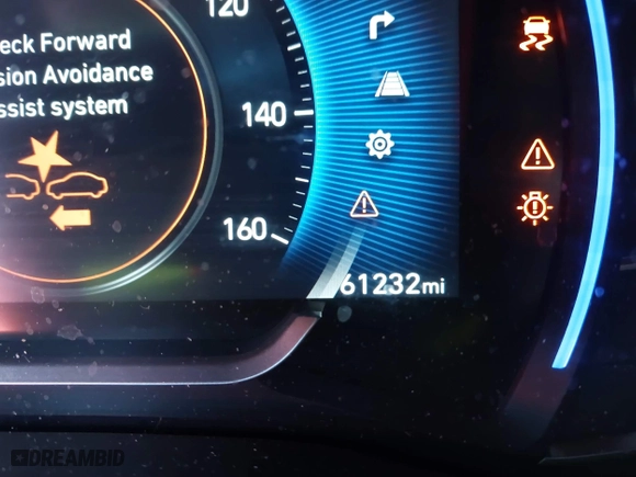 2019 Hyundai Santa Fe Limited with VIN 5NMS53AA8KH077883, listed as a IAAI auction lot 41884106 with 61,232 mi miles. Bid and sale history available at carsss.com. Image 15.