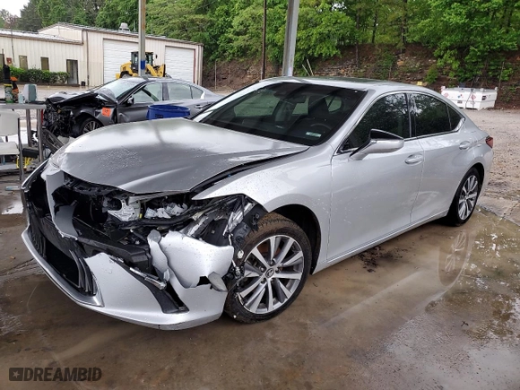 2019 Lexus ES with VIN 58ABZ1B15KU032632, listed as a Copart auction lot 50204075 with 122,766 mi miles and Clean Title. Bid and sale history available at carsss.com. Image 1.