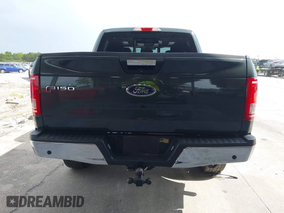 2015 Ford F-150 XLT with VIN 1FTEW1EG3FFB19022, listed as a IAAI auction lot 42452866 with 210,889 mi miles and . Bid and sale history available at DreamBid. Image 17.