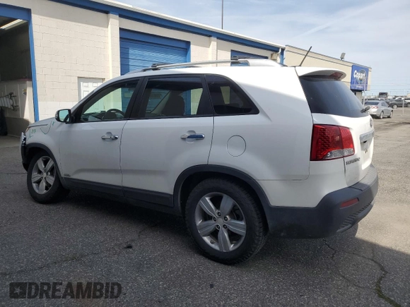 2013 Kia Sorento EX with VIN 5XYKUCA65DG409953, listed as a Copart auction lot 52755895 with 124,001 mi miles and Salvage Title. Bid and sale history available at carsss.com. Image 2.