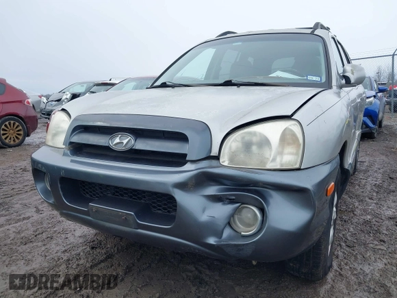 2005 Hyundai Santa Fe GLS with VIN KM8SC73E45U878509, listed as a IAAI auction lot 41776048 with 171,478 mi miles. Bid and sale history available at carsss.com. Image 6.