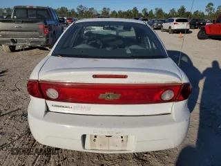 2005 Chevrolet Cavalier with VIN 1G1JC52F157199951, listed as a Copart auction lot 80864384 with 116,255 mi miles and Clean Title. Bid and sale history available at DreamBid. Image 6.