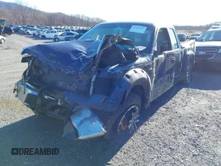 2010 Ford F-150 XL with VIN 1FTEX1E80AFA90416, listed as a IAAI auction lot 41446367 with Not provided miles and . Bid and sale history available at DreamBid. Image 6.