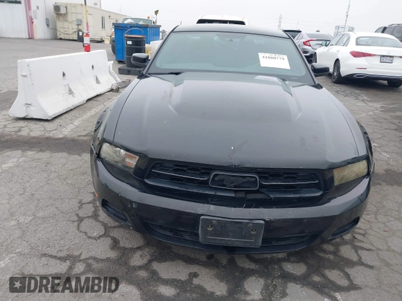 2012 Ford Mustang Premium with VIN 1ZVBP8AM3C5234884, listed as a IAAI auction lot 41880779 with 149,758 mi miles and . Bid and sale history available at DreamBid. Image 12.