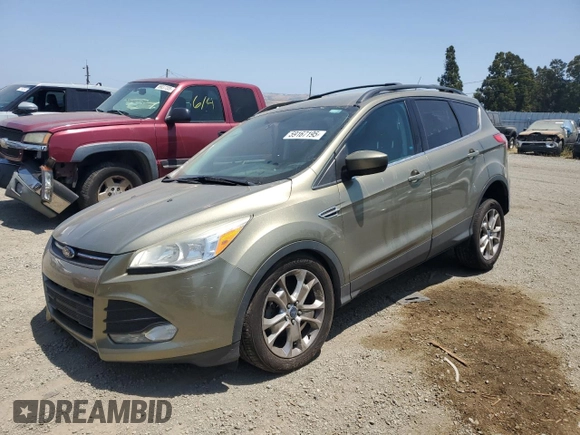 2013 Ford Escape SE with VIN 1FMCU0GX4DUB91663, listed as a Copart auction lot 59167195 with 115,081 mi miles and Salvage title. Bid and sale history available at DreamBid. Image 1.
