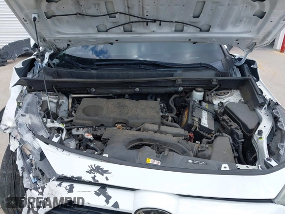 2019 Toyota RAV4 XLE with VIN 2T3W1RFVXKW033696, listed as a IAAI auction lot 42044151 with 126,872 mi miles and . Bid and sale history available at DreamBid. Image 10.