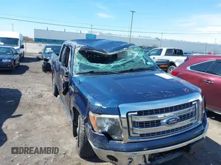 2013 Ford F-150 XL with VIN 1FTFX1EFXDKG21202, listed as a IAAI auction lot 41833771 with 142,152 mi miles. Bid and sale history available at carsss.com. Image 17.