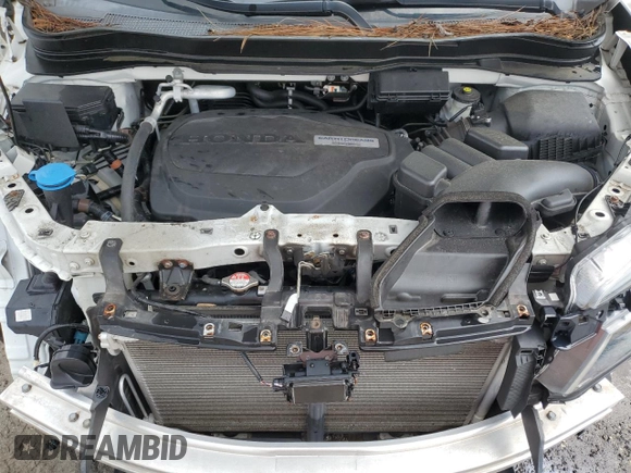 2019 Honda Pilot EX-L with VIN 5FNYF5H46KB039119, listed as a Copart auction lot 69801854 with 48,470 mi miles and Salvage title. Bid and sale history available at DreamBid. Image 12.