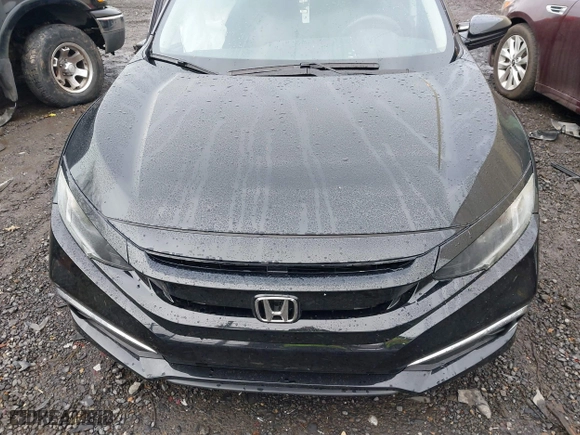 2019 Honda Civic Sedan LX with VIN 2HGFC2F60KH555359, listed as a IAAI auction lot 41626477 with 75,336 mi miles. Bid and sale history available at carsss.com. Image 13.