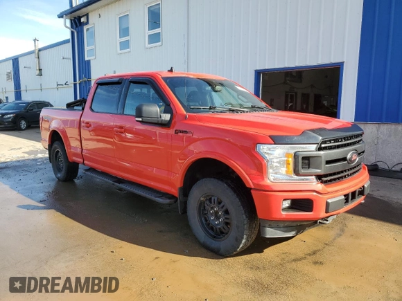 2019 Ford F-150 XL with VIN 1FTFW1E45KFC69606, listed as a Copart auction lot 48972275 with 172,982 mi miles and Clean Title. Bid and sale history available at carsss.com. Image 12.
