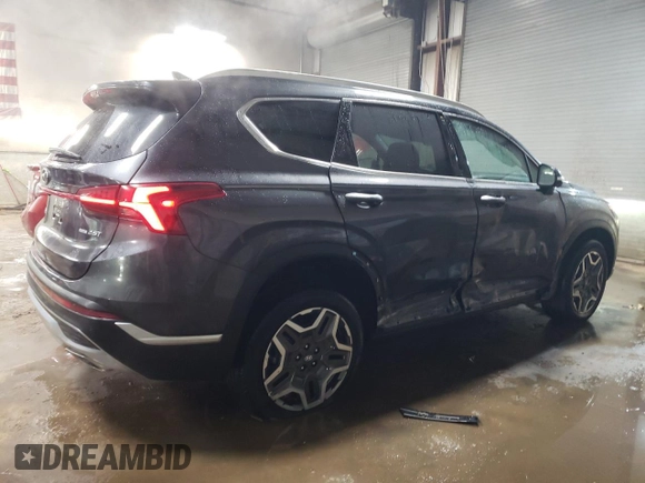 2023 Hyundai Santa Fe Limited with VIN 5NMS4DAL2PH485880, listed as a Copart auction lot 44610855 with 20,015 mi miles and Salvage Title. Bid and sale history available at carsss.com. Image 3.