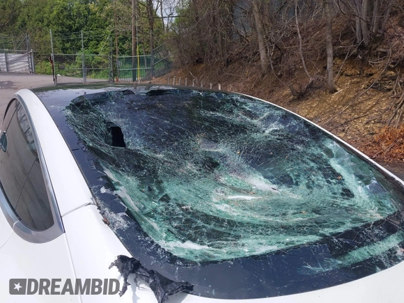 2020 Tesla Model 3 Long Range z VIN 5YJ3E1EB0LF712545, wystawiony jako IAAI lot #42198461 z przebiegiem 22 322 mil mil oraz . Historia ofert i sprzedaży dostępna na DreamBid. Obrazek 6.