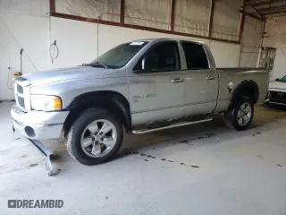 2005 Dodge Ram 1500 SLT with VIN 1D7HU18D85S358677, listed as a Copart auction lot 49873705 with 0 mi miles and Non Repairable. Bid and sale history available at carsss.com. Image 1.
