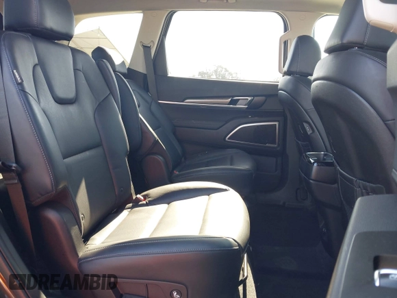 2023 Kia Telluride S with VIN 5XYP6DGC2PG387093, listed as a IAAI auction lot 42299026 with 12,895 mi miles and . Bid and sale history available at DreamBid. Image 8.
