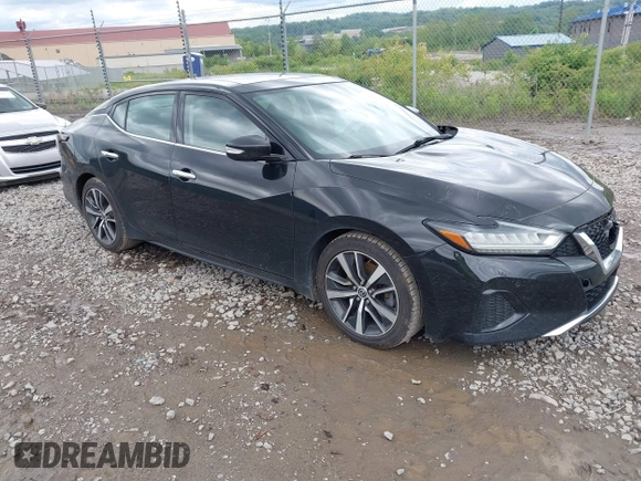 2019 Nissan Maxima SV with VIN 1N4AA6AV9KC378078, listed as a IAAI auction lot 42284633 with 92,345 mi miles and . Bid and sale history available at DreamBid. Image 1.