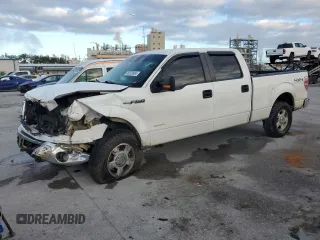 2013 Ford F-150 XL with VIN 1FTFW1ET3DFC25176, listed as a Copart auction lot 85522804 with 189,393 mi miles and Salvage title. Bid and sale history available at DreamBid. Image 1.