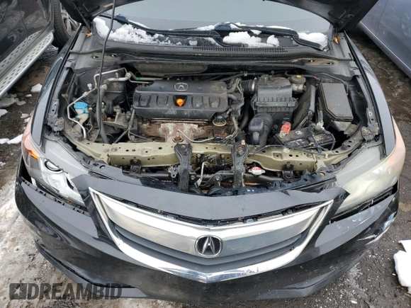 2014 Acura ILX Premium with VIN 19VDE1F51EE014234, listed as a Copart auction lot 44826095 with 202,606 mi miles and Clean title. Bid and sale history available at DreamBid. Image 11.