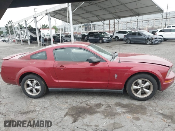 2008 Ford Mustang Deluxe with VIN 1ZVHT80N985100100, listed as a IAAI auction lot 42450593 with 164,853 mi miles and . Bid and sale history available at DreamBid. Image 13.