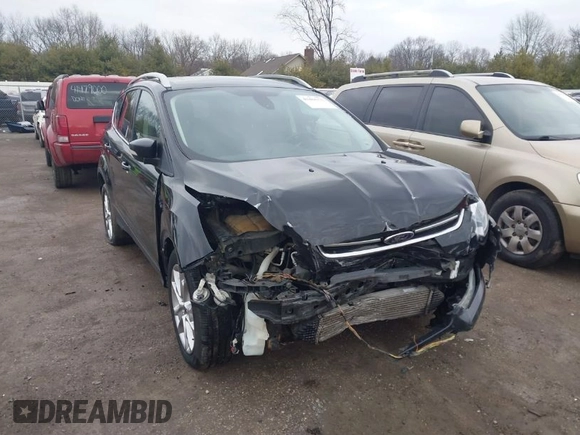 2016 Ford Escape Titanium with VIN 1FMCU0J91GUC69895, listed as a IAAI auction lot 41488171 with 162,232 mi miles. Bid and sale history available at carsss.com. Image 1.