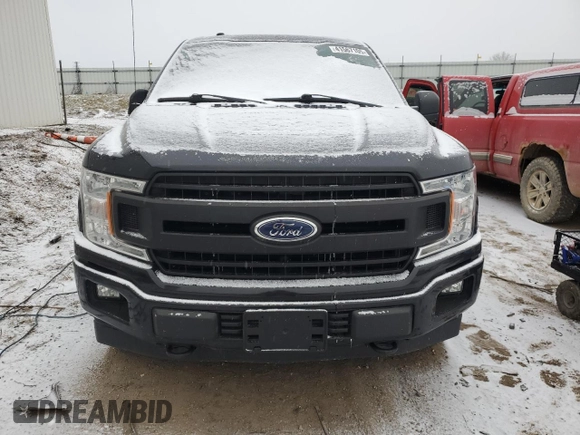 2019 Ford F-150 XL with VIN 1FTMF1E50KKC81427, listed as a Copart auction lot 41567105 with Not provided miles and Salvage title. Bid and sale history available at DreamBid. Image 5.