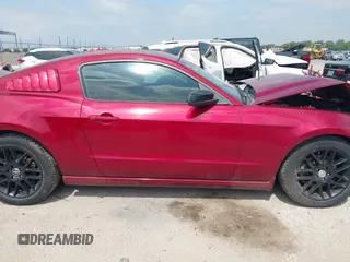 2014 Ford Mustang V6 with VIN 1ZVBP8AM7E5299126, listed as a IAAI auction lot 42343555 with 115,331 mi miles and . Bid and sale history available at DreamBid. Image 13.