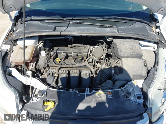 2013 Ford Focus SE with VIN 1FADP3F23DL218239, listed as a IAAI auction lot 42331440 with 156,501 mi miles and . Bid and sale history available at DreamBid. Image 10.