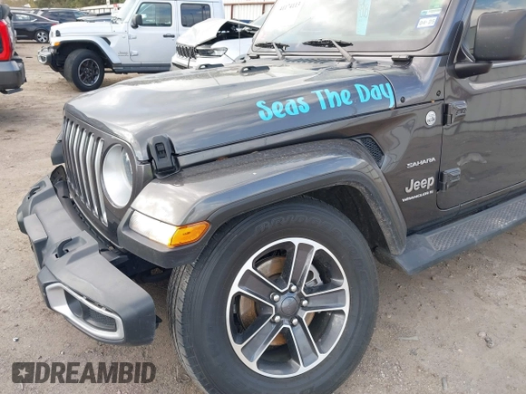 2023 Jeep Wrangler Sahara with VIN 1C4HJXEN6PW639004, listed as a IAAI auction lot 41174113 with 35,371 mi miles. Bid and sale history available at carsss.com. Image 19.