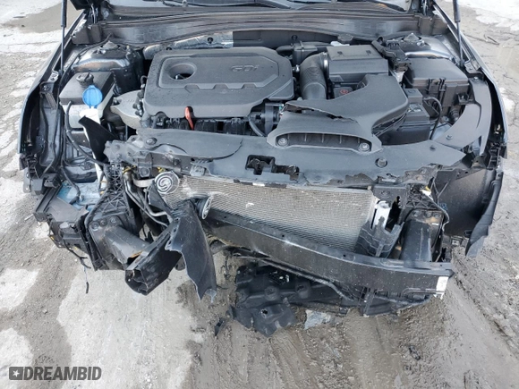 2019 Kia Optima LX with VIN 5XXGT4L36KG379171, listed as a Copart auction lot 42914355 with 48,028 mi miles and Salvage Title. Bid and sale history available at carsss.com. Image 12.