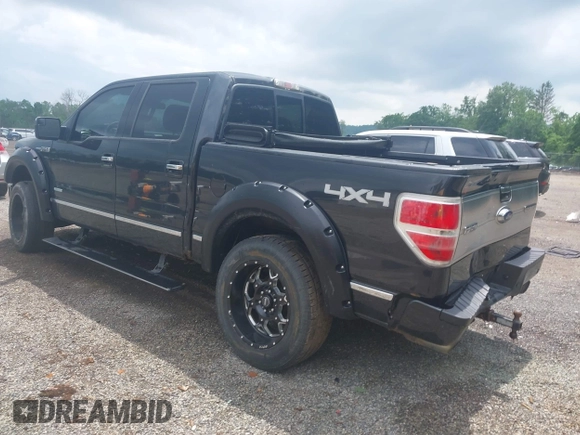 2014 Ford F-150 XL with VIN 1FTFW1ET9EFC24583, listed as a IAAI auction lot 42454980 with 158,364 mi miles and . Bid and sale history available at DreamBid. Image 3.