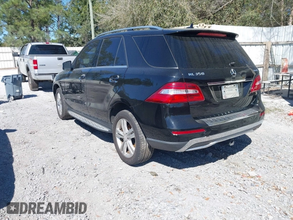 2013 Mercedes-Benz M 350 with VIN 4JGDA5HB4DA210257, listed as a IAAI auction lot 41809978 with 166,908 mi miles and . Bid and sale history available at DreamBid. Image 3.
