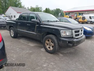 2010 Dodge Dakota Bighorn/Lonestar z VIN 1D7CW3GK8AS202813, wystawiony jako IAAI lot #42467823 z przebiegiem 166 294 mil mil oraz . Historia ofert i sprzedaży dostępna na DreamBid. Obrazek 1.