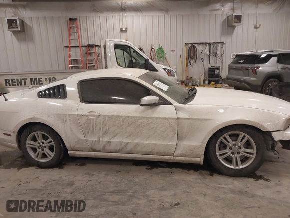 2013 Ford Mustang V6 with VIN 1ZVBP8AM0D5281131, listed as a IAAI auction lot 41447563 with 119,820 mi miles. Bid and sale history available at carsss.com. Image 13.