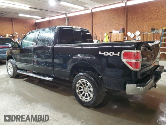 2013 Ford F-150 XL with VIN 1FTFW1EF1DFD11886, listed as a Copart auction lot 53393255 with 294,772 mi miles and Salvage Title. Bid and sale history available at carsss.com. Image 2.