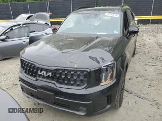 2024 Kia Telluride SX X-Line with VIN 5XYP5DGC1RG494352, listed as a Copart auction lot 58260515 with 25,538 mi miles and Salvage title. Bid and sale history available at DreamBid. Image 5.