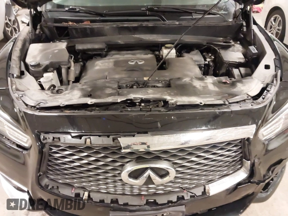 2017 Infiniti QX60 with VIN 5N1DL0MM5HC505169, listed as a IAAI auction lot 41879415 with 304,995 mi miles and . Bid and sale history available at DreamBid. Image 10.