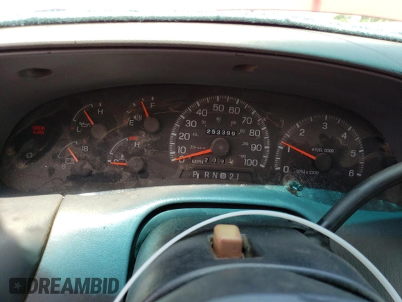 1998 Ford F-150 with VIN 1FTZX1761WKA53404, listed as a Copart auction lot 80628524 with 253,399 mi miles and Salvage title. Bid and sale history available at DreamBid. Image 9.