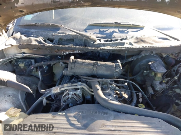 1997 Dodge 1500 with VIN 3B7HC13Z2VG714063, listed as a IAAI auction lot 41725318 with 306,824 mi miles and . Bid and sale history available at DreamBid. Image 6.