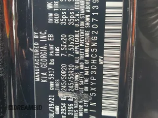 2022 Kia Telluride EX with VIN 5XYP3DHC5NG207139, listed as a Copart auction lot 60104755 with 101,632 mi miles and Salvage title. Bid and sale history available at DreamBid. Image 14.