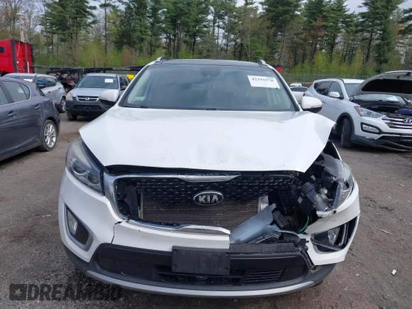 2017 Kia Sorento EX with VIN 5XYPHDA56HG229930, listed as a IAAI auction lot 42191578 with 161,417 mi miles and . Bid and sale history available at DreamBid. Image 12.