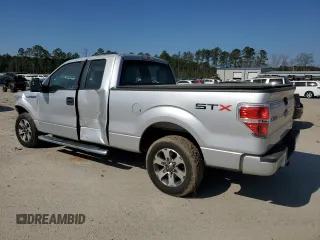 2013 Ford F-150 XL with VIN 1FTFX1CF0DFD62148, listed as a Copart auction lot 48986985 with 0 mi miles and Salvage Title. Bid and sale history available at carsss.com. Image 2.