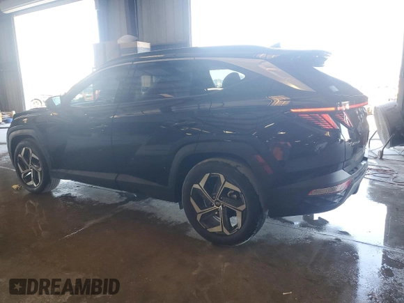 2022 Hyundai Tucson Limited with VIN 5NMJE3AE6NH152213, listed as a Copart auction lot 53332075 with 28,424 mi miles and Salvage Title. Bid and sale history available at carsss.com. Image 2.