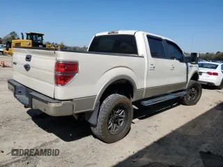 2009 Ford F-150 XL with VIN 1FTPW12V39FA04601, listed as a Copart auction lot 48905855 with 0 mi miles and Clean Title. Bid and sale history available at carsss.com. Image 3.