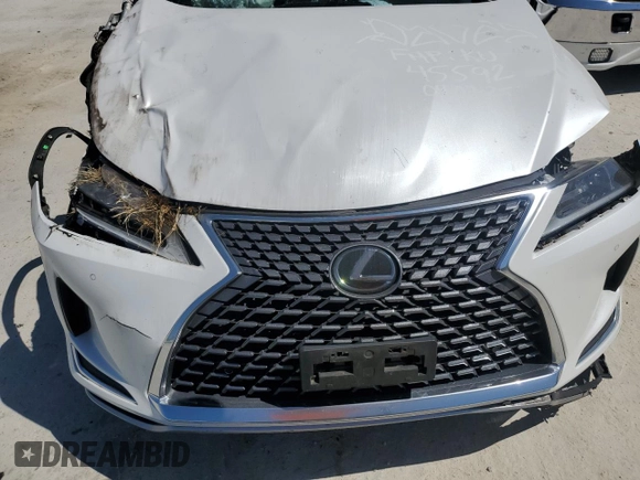 2021 Lexus RX 350 with VIN 2T2HZMDA2MC262225, listed as a Copart auction lot 53744685 with Not provided miles and Salvage title. Bid and sale history available at DreamBid. Image 11.
