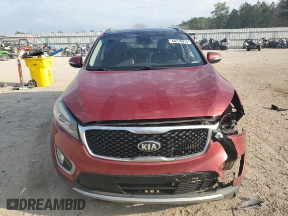 2017 Kia Sorento EX with VIN 5XYPH4A17HG215841, listed as a Copart auction lot 44228975 with 139,968 mi miles and Salvage title. Bid and sale history available at DreamBid. Image 5.