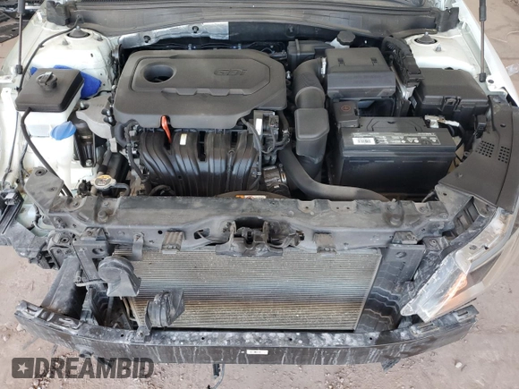 2018 Kia Optima LX with VIN KNAGT4L36J5216987, listed as a Copart auction lot 53490745 with 93,907 mi miles and Salvage title. Bid and sale history available at DreamBid. Image 11.