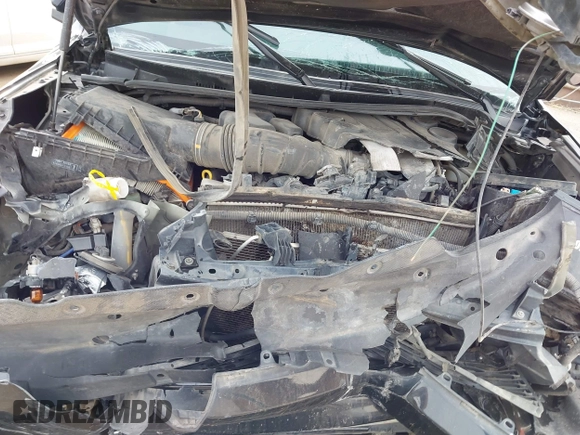 2019 Toyota 4Runner SR5 with VIN JTEBU5JR2K5692979, listed as a IAAI auction lot 42013798 with 219,437 mi miles and . Bid and sale history available at DreamBid. Image 10.