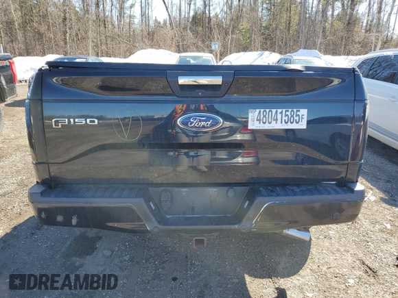 2017 Ford F-150 XL with VIN 1FTEW1EGXHFB44356, listed as a Copart auction lot 48041585 with Not provided miles and Non repairable. Bid and sale history available at DreamBid. Image 6.
