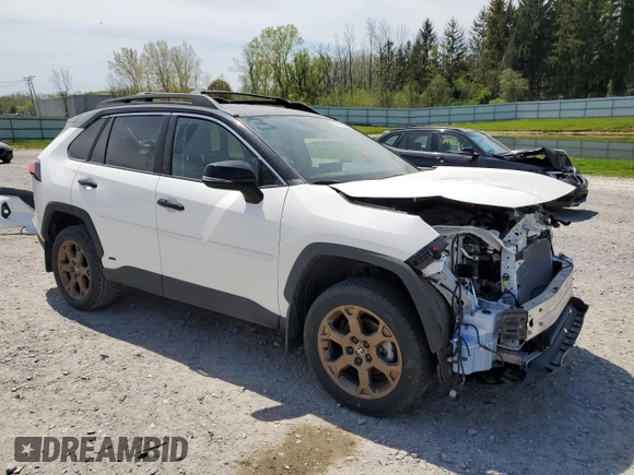 2024 Toyota RAV4 Hybrid LE with VIN 2T3UWRFV0RW227835, listed as a Copart auction lot 56447565 with 19,157 mi miles and Salvage title. Bid and sale history available at DreamBid. Image 4.