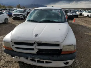 1997 Dodge Dakota with VIN 1B7GL23Y6VS241737, listed as a Copart auction lot 80543504 with 196,239 mi miles and Salvage Title. Bid and sale history available at carsss.com. Image 5.